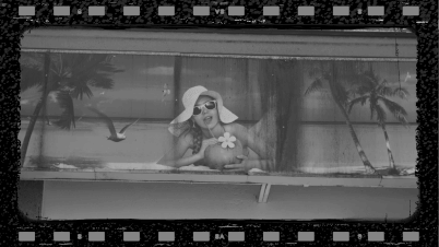 Carousel Image 1