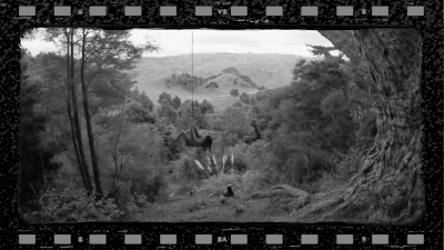 Carousel Image 7